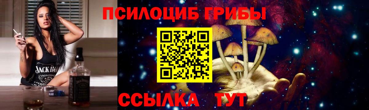Псилоцибиновые грибы мицелий Заволжье